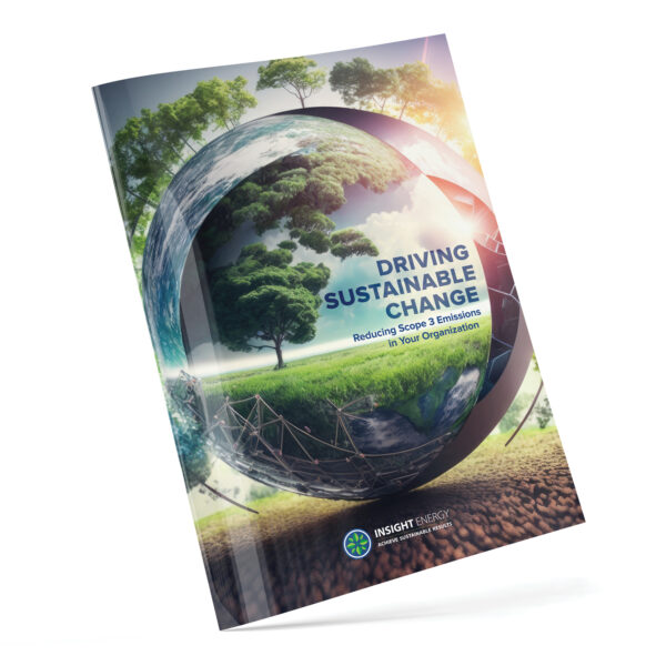 Driving Sustainable Change E-Book_360x360-2
